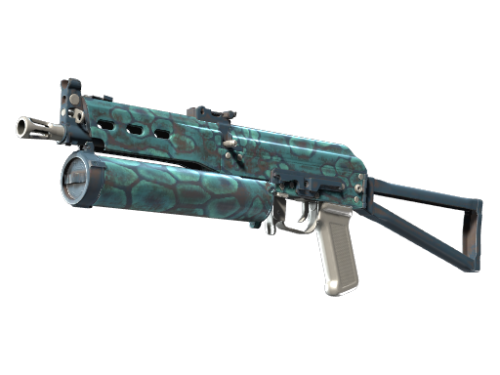 PP-Bizon | Cold Cell