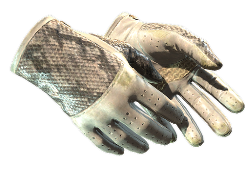 ★ Driver Gloves | King Snake