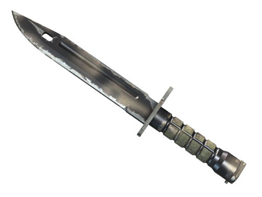 ★ StatTrak™ Bayonet | Scorched