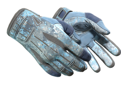 ★ Sport Gloves | Frosty