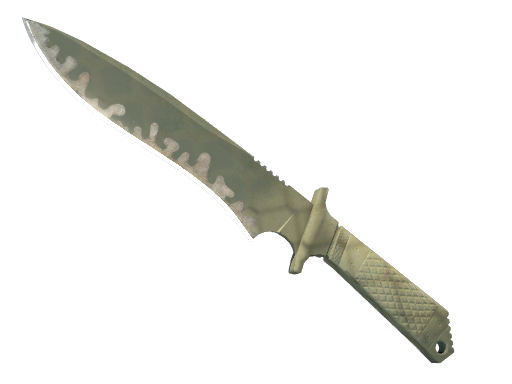 ★ StatTrak™ Classic Knife | Safari Mesh