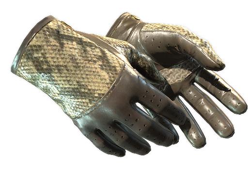 ★ Driver Gloves | Diamondback